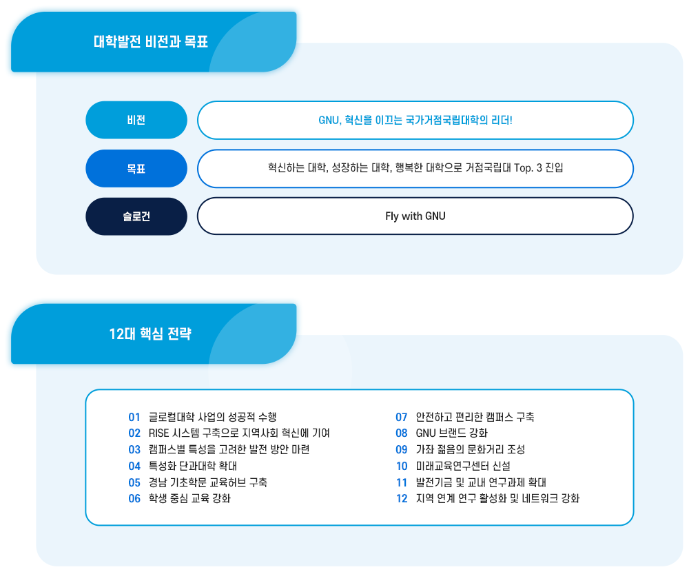 대학발전 비전과 목표, 12대 핵심 전략